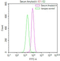 SAA1 Recombinant Monoclonal Antibody – Figure 1 of 1