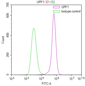 Overlay Peak curve showing Hela cells stained with CSB-RA129161A0HU (red line) at 1:100. The cells were fixed in 4% formaldehyde and permeated by 0.2% TritonX-100 for 10min. Then 10% normal goat serum to block non-specific protein-protein interactions followed by the antibody (1ug/1*10 6 cells) for 45min at 4℃.