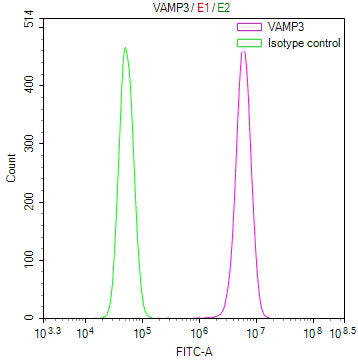 Overlay Peak curve showing 786-O cells stained with CSB-RA170528A0HU (red line) at 1:100. The cells were fixed in 4% formaldehyde and permeated by 0.2% TritonX-100 for 10min. Then 10% normal goat serum to block non-specific protein-protein interactions followed by the antibody (1ug/1*10 6 cells) for 45min at 4℃.