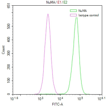 Overlay Peak curve showing Hela cells stained with CSB-RA182340A0HU (red line) at 1:50. The cells were fixed in 4% formaldehyde and permeated by 0.2% TritonX-100. Then 10% normal goat serum to block non-specific protein-protein interactions followed by the antibody (1µg/1*10 6 cells) for 45min at 4℃. The secondary antibody used was FITC-conjugated Goat Anti-rabbit IgG(H+L) at 1:200 dilution for 35min at 4℃.Control antibody (green line) was rabbit IgG (1µg/1*10 6 cells) used under the same conditions.