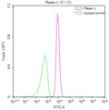 Overlay Peak curve showing RAJI cells stained with CSB-RA188599A0HU (red line) at 1:50. The cells were fixed in 4% formaldehyde and permeated by 0.2% TritonX-100. Then 10% normal goat serum to block non-specific protein-protein interactions followed by the antibody (1µg/1*10 6 cells) for 45min at 4℃. The secondary antibody used was FITC-conjugated Goat Anti-rabbit IgG(H+L) at 1:200 dilution for 35min at 4℃.Control antibody (green line) was rabbit IgG (1µg/1*10 6 cells) used under the same conditions.