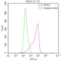 Overlay Peak curve showing HT29 cells stained with CSB-RA188971A0HU (red line) at 1:100. The cells were fixed in 4% formaldehyde and permeated by 0.2% TritonX-100 for 10min. Then 10% normal goat serum to block non-specific protein-protein interactions followed by the antibody (1ug/1*10 6 cells) for 45min at 4℃.