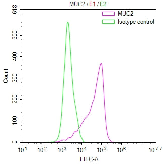 Overlay Peak curve showing HT29 cells stained with CSB-RA188971A0HU (red line) at 1:100. The cells were fixed in 4% formaldehyde and permeated by 0.2% TritonX-100 for 10min. Then 10% normal goat serum to block non-specific protein-protein interactions followed by the antibody (1ug/1*10 6 cells) for 45min at 4℃.