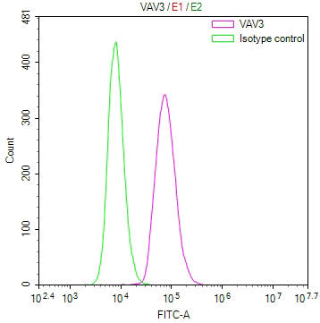 Overlay Peak curve showing U87 cells stained with CSB-RA195064A0HU (red line) at 1:100. The cells were fixed in 4% formaldehyde and permeated by 0.2% TritonX-100 for 10min. Then 10% normal goat serum to block non-specific protein-protein interactions followed by the antibody (1ug/1*10 6 cells) for 45min at 4℃.