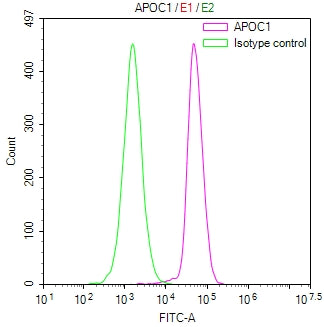 Overlay Peak curve showing HepG2 cells stained with CSB-RA204247A0HU (red line) at 1:100. The cells were fixed in 4% formaldehyde and permeated by 0.2% TritonX-100 for 10min. Then 10% normal goat serum to block non-specific protein-protein interactions followed by the antibody (1ug/1*10 6 cells) for 45min at 4℃.