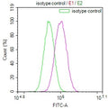Overlay Peak curve showing PC3 cells surface stained with CSB-RA215817A0HU (red line) at 1:100. The cells were incubated in 10% normal goat serum to block non-specific protein-protein interactions followed by the antibody (1ug/1*10 6 cells) for 45min at 4℃. The secondary antibody used was FITC-conjugated Goat Anti-rabbit IgG(H+L) at 1:200 dilution for 35min at 4℃.Control antibody (green line) was rabbit IgG (1ug/1*10 6 cells) used under the same conditions. Acquisition of >10,000 events was performed.
