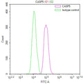 Overlay Peak curve showing HepG2 cells stained with CSB-RA224345A0HU (red line) at 1:100. The cells were fixed in 4% formaldehyde and permeated by 0.2% TritonX-100 for 10min. Then 10% normal goat serum to block non-specific protein-protein interactions followed by the antibody (1ug/1*10 6 cells) for 45min at 4℃.
