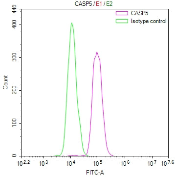 Overlay Peak curve showing HepG2 cells stained with CSB-RA224345A0HU (red line) at 1:100. The cells were fixed in 4% formaldehyde and permeated by 0.2% TritonX-100 for 10min. Then 10% normal goat serum to block non-specific protein-protein interactions followed by the antibody (1ug/1*10 6 cells) for 45min at 4℃.