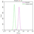 Overlay Peak curve showing Raji cells stained with CSB-RA225367A0HU (red line) at 1:100. The cells were fixed in 4% formaldehyde and permeated by 0.2% TritonX-100 for 10min. Then 10% normal goat serum to block non-specific protein-protein interactions followed by the antibody (1ug/1*10 6 cells) for 45min at 4℃.