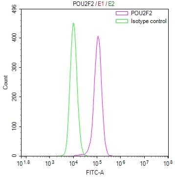 Overlay Peak curve showing Raji cells stained with CSB-RA225367A0HU (red line) at 1:100. The cells were fixed in 4% formaldehyde and permeated by 0.2% TritonX-100 for 10min. Then 10% normal goat serum to block non-specific protein-protein interactions followed by the antibody (1ug/1*10 6 cells) for 45min at 4℃.