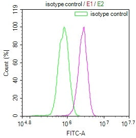 Overlay Peak curve showing A549 cells surface stained with CSB-RA233042A0HU (red line) at 1:100. The cells were incubated in 10% normal goat serum to block non-specific protein-protein interactions followed by the antibody (1ug/1*10 6 cells) for 45min at 4℃. The secondary antibody used was FITC-conjugated Goat Anti-rabbit IgG(H+L) at 1:200 dilution for 35min at 4℃.Control antibody (green line) was rabbit IgG (1ug/1*10 6 cells) used under the same conditions. Acquisition of >10,000 events was performed.