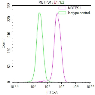 Overlay Peak curve showing MCF-7 cells stained with CSB-RA237035MA1HU (red line) at 1:100. The cells were fixed in 4% formaldehyde and permeated by 0.2% TritonX-100 for 10min. Then 10% normal goat serum to block non-specific protein-protein interactions followed by the antibody (1ug/1*10 6 cells) for 45min at 4℃.