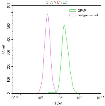 Overlay Peak curve showing Hela cells stained with CSB-RA241995A0HU (red line) at 1:50. The cells were fixed in 4% formaldehyde and permeated by 0.2% TritonX-100. Then 10% normal goat serum to block non-specific protein-protein interactions followed by the antibody (1µg/1*10 6 cells) for 45min at 4℃. The secondary antibody used was FITC-conjugated Goat Anti-rabbit IgG(H+L) at 1:200 dilution for 35min at 4℃.Control antibody (green line) was rabbit IgG (1µg/1*10 6 cells) used under the same conditions.