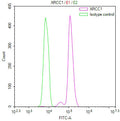 Overlay Peak curve showing Hela cells stained with CSB-RA248847A0HU (red line) at 1:100. The cells were fixed in 4% formaldehyde and permeated by 0.2% TritonX-100 for 10min. Then 10% normal goat serum to block non-specific protein-protein interactions followed by the antibody (1ug/1*10 6 cells) for 45min at 4℃.