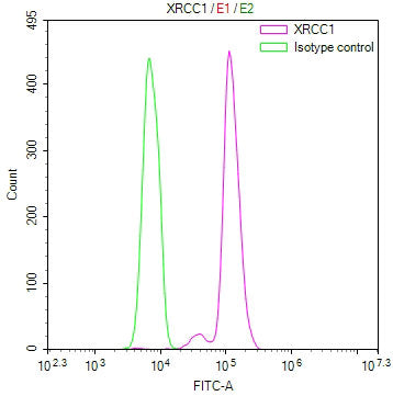 Overlay Peak curve showing Hela cells stained with CSB-RA248847A0HU (red line) at 1:100. The cells were fixed in 4% formaldehyde and permeated by 0.2% TritonX-100 for 10min. Then 10% normal goat serum to block non-specific protein-protein interactions followed by the antibody (1ug/1*10 6 cells) for 45min at 4℃.