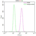 Overlay Peak curve showing A431 cells stained with CSB-RA249444A0HU (red line) at 1:100. The cells were fixed in 4% formaldehyde and permeated by 0.2% TritonX-100 for 10min. Then 10% normal goat serum to block non-specific protein-protein interactions followed by the antibody (1ug/1*10 6 cells) for 45min at 4℃.