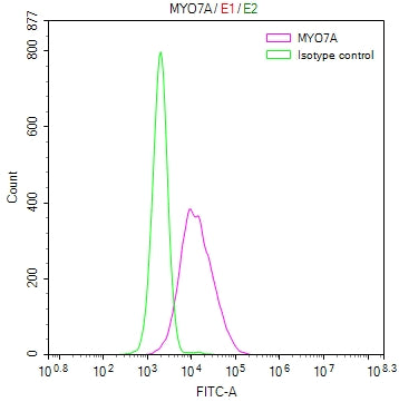 Overlay Peak curve showing HepG2 cells stained with CSB-RA250599A0HU (red line) at 1:50. The cells were fixed in 4% formaldehyde and permeated by 0.2% TritonX-100. Then 10% normal goat serum to block non-specific protein-protein interactions followed by the antibody (1µg/1*10 6 cells) for 45min at 4℃. The secondary antibody used was FITC-conjugated Goat Anti-rabbit IgG(H+L) at 1:200 dilution for 35min at 4℃.Control antibody (green line) was rabbit IgG (1µg/1*10 6 cells) used under the same conditions.