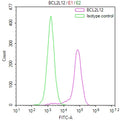 Overlay Peak curve showing HepG2 cells stained with CSB-RA255012A0HU (red line) at 1:100. The cells were fixed in 4% formaldehyde and permeated by 0.2% TritonX-100 for 10min. Then 10% normal goat serum to block non-specific protein-protein interactions followed by the antibody (1ug/1*10 6 cells) for 45min at 4℃.
