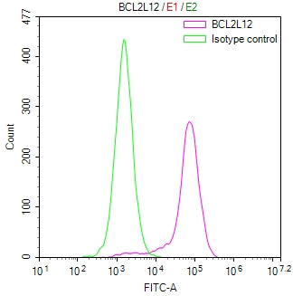 Overlay Peak curve showing HepG2 cells stained with CSB-RA255012A0HU (red line) at 1:100. The cells were fixed in 4% formaldehyde and permeated by 0.2% TritonX-100 for 10min. Then 10% normal goat serum to block non-specific protein-protein interactions followed by the antibody (1ug/1*10 6 cells) for 45min at 4℃.