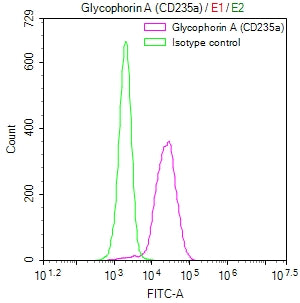 Overlay Peak curve showing K562 cells surface stained with CSB-RA257220A0HU (red line) at 1:50. Then 10% normal goat serum to block non-specific protein-protein interactions followed by the antibody (1µg/1*10<sup>6</sup>cells) for 45min at 4℃. The secondary antibody used was FITC-conjugated Goat Anti-rabbit IgG(H+L) at 1:200 dilution for 35min at 4℃.Control antibody (green line) was rabbit IgG (1µg/1*10<sup>6</sup>cells) used under the same conditions. Acquisition of >10,000 events was performed.