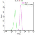 Overlay Peak curve showing jurkat cells stained with CSB-RA260993A0HU (red line) at 1:100. The cells were fixed in 4% formaldehyde and permeated by 0.2% TritonX-100 for 10min. Then 10% normal goat serum to block non-specific protein-protein interactions followed by the antibody (1ug/1*10 6 cells) for 45min at 4℃.