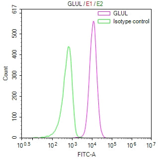 Overlay Peak curve showing jurkat cells stained with CSB-RA260993A0HU (red line) at 1:100. The cells were fixed in 4% formaldehyde and permeated by 0.2% TritonX-100 for 10min. Then 10% normal goat serum to block non-specific protein-protein interactions followed by the antibody (1ug/1*10 6 cells) for 45min at 4℃.