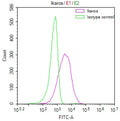 Overlay Peak curve showing Jurkat cells stained with CSB-RA266291A0HU (red line) at 1:50. The cells were fixed in 4% formaldehyde and permeated by 0.2% TritonX-100. Then 10% normal goat serum to block non-specific protein-protein interactions followed by the antibody (1µg/1*10 6 cells) for 45min at 4℃. The secondary antibody used was FITC-conjugated Goat Anti-rabbit IgG(H+L) at 1:200 dilution for 35min at 4℃.Control antibody (green line) was rabbit IgG (1µg/1*10 6 cells) used under the same conditions.