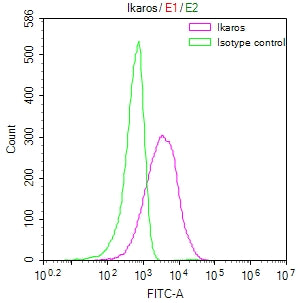 Overlay Peak curve showing Jurkat cells stained with CSB-RA266291A0HU (red line) at 1:50. The cells were fixed in 4% formaldehyde and permeated by 0.2% TritonX-100. Then 10% normal goat serum to block non-specific protein-protein interactions followed by the antibody (1µg/1*10 6 cells) for 45min at 4℃. The secondary antibody used was FITC-conjugated Goat Anti-rabbit IgG(H+L) at 1:200 dilution for 35min at 4℃.Control antibody (green line) was rabbit IgG (1µg/1*10 6 cells) used under the same conditions.