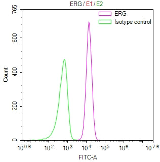 Overlay Peak curve showing jurkat cells stained with CSB-RA274766A0HU (red line) at 1:100. The cells were fixed in 4% formaldehyde and permeated by 0.2% TritonX-100 for 10min. Then 10% normal goat serum to block non-specific protein-protein interactions followed by the antibody (1ug/1*10 6 cells) for 45min at 4℃.