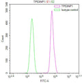 Overlay Peak curve showing PC-3 cells stained with CSB-RA277581A0HU (red line) at 1:100. The cells were fixed in 4% formaldehyde and permeated by 0.2% TritonX-100 for 10min. Then 10% normal goat serum to block non-specific protein-protein interactions followed by the antibody (1ug/1*10 6 cells) for 45min at 4℃.