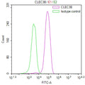 Overlay Peak curve showing MCF-7 cells stained with CSB-RA282483A0HU (red line) at 1:100. The cells were fixed in 4% formaldehyde and permeated by 0.2% TritonX-100 for 10min. Then 10% normal goat serum to block non-specific protein-protein interactions followed by the antibody (1ug/1*10 6 cells) for 45min at 4℃.