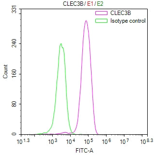 Overlay Peak curve showing MCF-7 cells stained with CSB-RA282483A0HU (red line) at 1:100. The cells were fixed in 4% formaldehyde and permeated by 0.2% TritonX-100 for 10min. Then 10% normal goat serum to block non-specific protein-protein interactions followed by the antibody (1ug/1*10 6 cells) for 45min at 4℃.