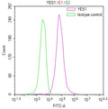 Overlay Peak curve showing MCF-7 cells stained with CSB-RA286515A0HU (red line) at 1:100. The cells were fixed in 4% formaldehyde and permeated by 0.2% TritonX-100 for 10min. Then 10% normal goat serum to block non-specific protein-protein interactions followed by the antibody (1ug/1*10 6 cells) for 45min at 4℃.