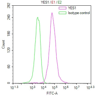 Overlay Peak curve showing MCF-7 cells stained with CSB-RA286515A0HU (red line) at 1:100. The cells were fixed in 4% formaldehyde and permeated by 0.2% TritonX-100 for 10min. Then 10% normal goat serum to block non-specific protein-protein interactions followed by the antibody (1ug/1*10 6 cells) for 45min at 4℃.