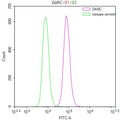 Overlay Peak curve showing 293 cells stained with CSB-RA287686A0HU (red line) at 1:50. The cells were fixed in 4% formaldehyde and permeated by 0.2% TritonX-100. Then 10% normal goat serum to block non-specific protein-protein interactions followed by the antibody (1µg/1*10 6 cells) for 45min at 4℃. The secondary antibody used was FITC-conjugated Goat Anti-rabbit IgG(H+L) at 1:200 dilution for 35min at 4℃.Control antibody (green line) was rabbit IgG (1µg/1*10 6 cells) used under the same conditions.