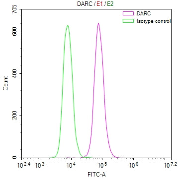 Overlay Peak curve showing 293 cells stained with CSB-RA287686A0HU (red line) at 1:50. The cells were fixed in 4% formaldehyde and permeated by 0.2% TritonX-100. Then 10% normal goat serum to block non-specific protein-protein interactions followed by the antibody (1µg/1*10 6 cells) for 45min at 4℃. The secondary antibody used was FITC-conjugated Goat Anti-rabbit IgG(H+L) at 1:200 dilution for 35min at 4℃.Control antibody (green line) was rabbit IgG (1µg/1*10 6 cells) used under the same conditions.