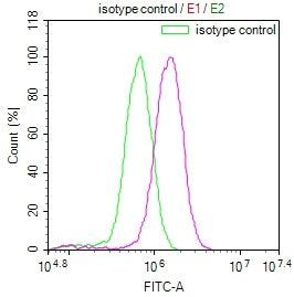 Overlay Peak curve showing MCF7 cells stained with CSB-RA288700A0HU (red line) at 1:100. The cells were fixed in 4% formaldehyde and permeated by 0.2% TritonX-100. Then 10% normal goat serum to block non-specific protein-protein interactions followed by the antibody (1ug/1*10 6 cells) for 45min at 4℃. The secondary antibody used was FITC-conjugated Goat Anti-rabbit IgG(H+L) at 1:200 dilution for 35min at 4℃.Control antibody (green line) was rabbit IgG (1ug/1*10 6 cells) used under the same conditions.