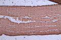 IHC image of CSB-RA1:509956A0HU diluted at 1:50 and staining in paraffin-embedded human skeletal muscle tissue performed on a Leica BondTM system. After dewaxing and hydration, antigen retrieval was mediated by high pressure in a citrate buffer (pH 6.0) . Section was blocked with 10% normal goat serum 30min at RT. Then primary antibody (1% BSA) was incubated at 4°C overnight. The primary is detected by a Goat anti-rabbit polymer IgG labeled by HRP and visualized using 0.72% DAB.