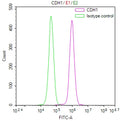 Overlay Peak curve showing MCF-7 cells stained with CSB-RA291625A0HU (red line) at 1:100. The cells were fixed in 4% formaldehyde and permeated by 0.2% TritonX-100 for 10min. Then 10% normal goat serum to block non-specific protein-protein interactions followed by the antibody (1ug/1*10 6 cells) for 45min at 4℃.