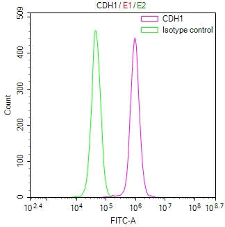 Overlay Peak curve showing MCF-7 cells stained with CSB-RA291625A0HU (red line) at 1:100. The cells were fixed in 4% formaldehyde and permeated by 0.2% TritonX-100 for 10min. Then 10% normal goat serum to block non-specific protein-protein interactions followed by the antibody (1ug/1*10 6 cells) for 45min at 4℃.