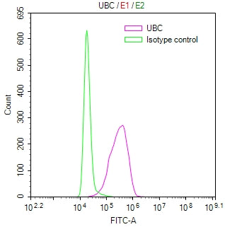 Overlay Peak curve showing MCF7 cells stained with CSB-RA316735MA1HU (red line) at 1:50. The cells were fixed in 4% formaldehyde (15min) and permeated by 0.2% TritonX-100 for 10min. Then 10% normal goat serum to block non-specific protein-protein interactions followed by the antibody (1ug/1*10 6 cells) for 45min at 4℃. The secondary antibody used was FITC-conjugated Goat Anti-Mouse IgG(H+L) at 1/200 dilution for 35 min at 4°C.