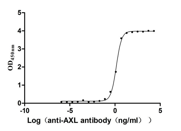 The Binding Activity of Human AXL with Anti-AXL recombinant antibodyActivity: Measured by its binding ability in a functional ELISA. Immobilized human AXL(CSB-MP326981HUd7) at 2 μg/mL can bind Anti-AXL recombinant antibody. The EC<sub>50</sub> is 1.308-1.500 ng/mL.