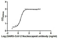 N Antibody – Figure 1 of 2