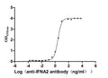 The Binding Activity of Human IFNA2with Anti-IFNA2 Recombinant AntibodyActivity: Measured by its binding ability in a functional ELISA. Immobilized Human IFNA2(CSB-MP360706HU) at 2 μg/mL can bind Anti-IFNA2 recombinant antibody. The EC<sub>50</sub> is 2.366-2.818 ng/mL.