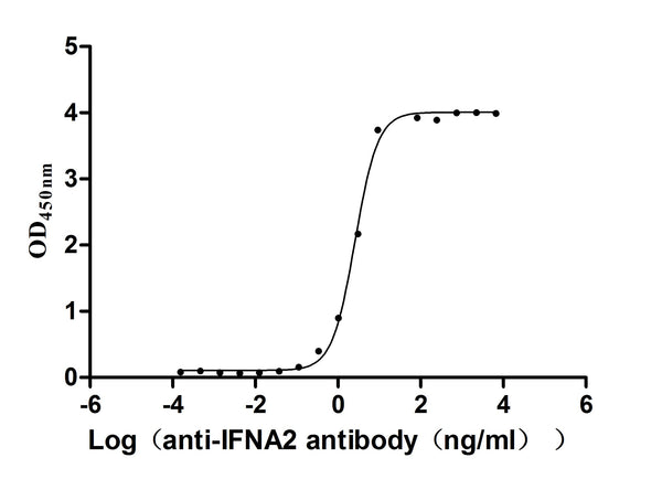 The Binding Activity of Human IFNA2with Anti-IFNA2 Recombinant AntibodyActivity: Measured by its binding ability in a functional ELISA. Immobilized Human IFNA2(CSB-MP360706HU) at 2 μg/mL can bind Anti-IFNA2 recombinant antibody. The EC<sub>50</sub> is 2.366-2.818 ng/mL.
