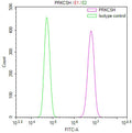 Overlay Peak curve showing 786-O cells stained with CSB-RA439154A0HU (red line) at 1:100. The cells were fixed in 4% formaldehyde and permeated by 0.2% TritonX-100 for 10min. Then 10% normal goat serum to block non-specific protein-protein interactions followed by the antibody (1ug/1*10 6 cells) for 45min at 4℃.