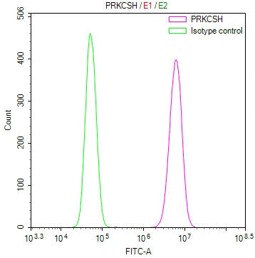 Overlay Peak curve showing 786-O cells stained with CSB-RA439154A0HU (red line) at 1:100. The cells were fixed in 4% formaldehyde and permeated by 0.2% TritonX-100 for 10min. Then 10% normal goat serum to block non-specific protein-protein interactions followed by the antibody (1ug/1*10 6 cells) for 45min at 4℃.