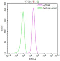 Overlay Peak curve showing HepG2 cells stained with CSB-RA441570A0HU (red line) at 1:100. The cells were fixed in 4% formaldehyde and permeated by 0.2% TritonX-100 for 10min. Then 10% normal goat serum to block non-specific protein-protein interactions followed by the antibody (1ug/1*10 6 cells) for 45min at 4℃.