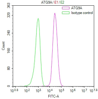 Overlay Peak curve showing HepG2 cells stained with CSB-RA441570A0HU (red line) at 1:100. The cells were fixed in 4% formaldehyde and permeated by 0.2% TritonX-100 for 10min. Then 10% normal goat serum to block non-specific protein-protein interactions followed by the antibody (1ug/1*10 6 cells) for 45min at 4℃.