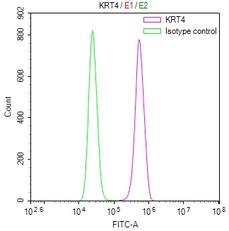 Overlay Peak curve showing Hela cells stained with CSB-RA448521A0HU (red line) at 1:100. The cells were fixed in 4% formaldehyde and permeated by 0.2% TritonX-100 for 10min. Then 10% normal goat serum to block non-specific protein-protein interactions followed by the antibody (1ug/1*10 6 cells) for 45min at 4℃.